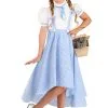 Hi-Lo Gingham Dress Girl's Costume
